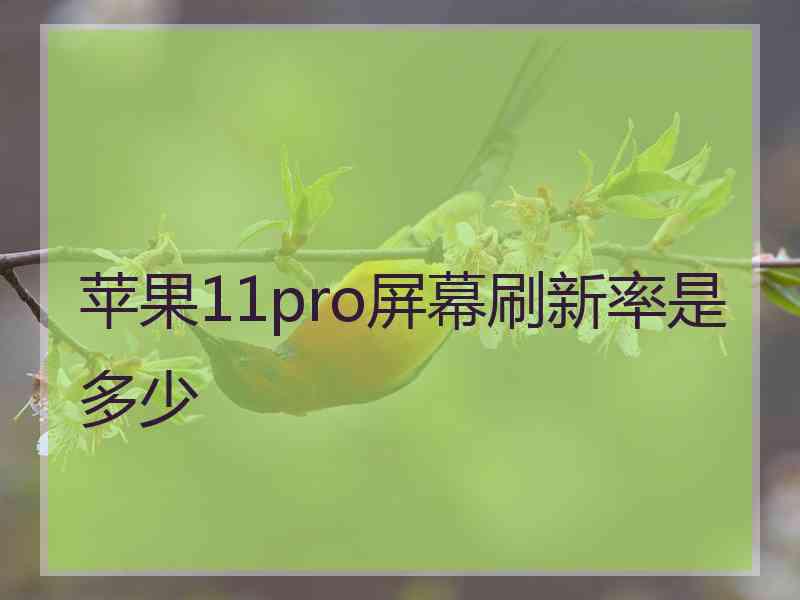 苹果11pro屏幕刷新率是多少
