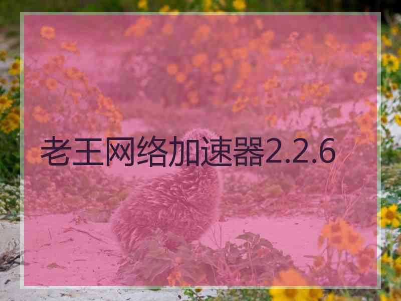 老王网络加速器2.2.6