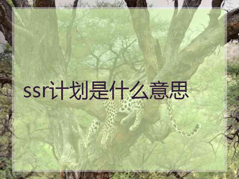 ssr计划是什么意思