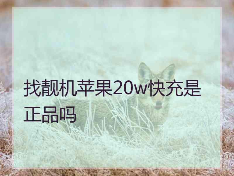 找靓机苹果20w快充是正品吗