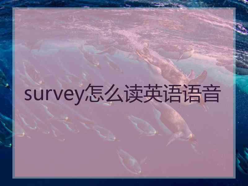 survey怎么读英语语音