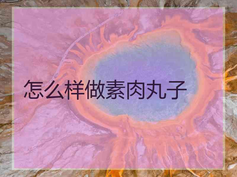 怎么样做素肉丸子