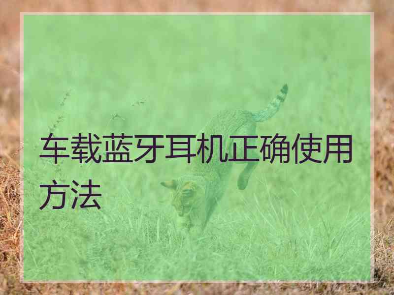 车载蓝牙耳机正确使用方法