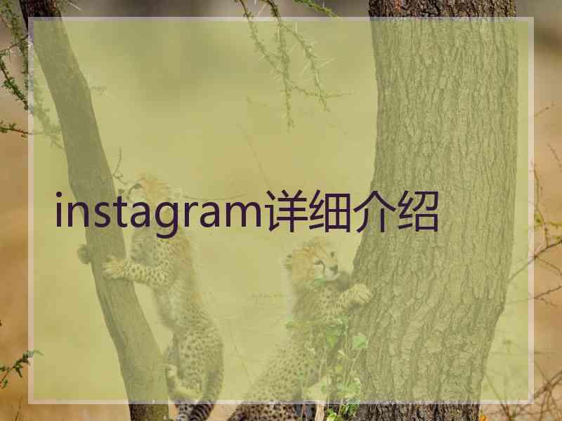instagram详细介绍