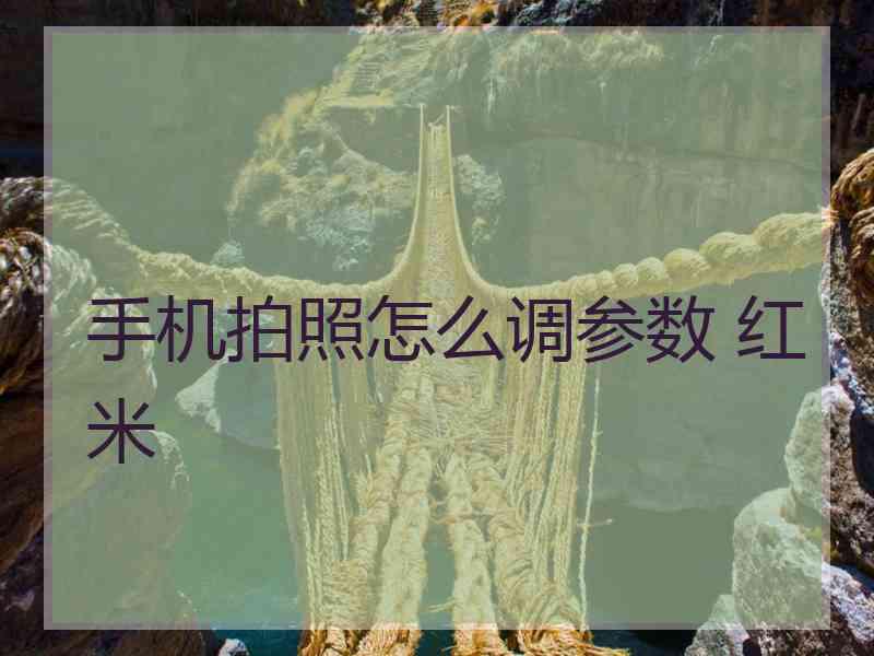 手机拍照怎么调参数 红米
