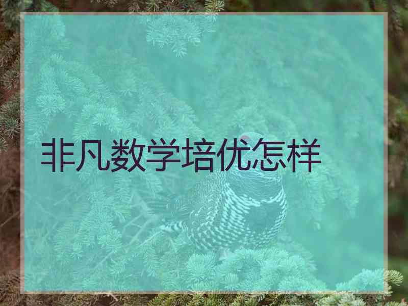 非凡数学培优怎样