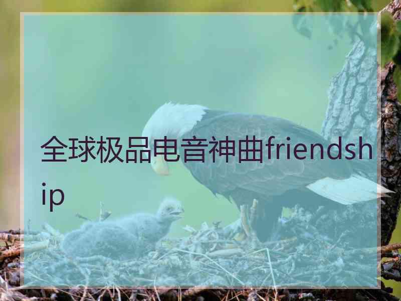 全球极品电音神曲friendship