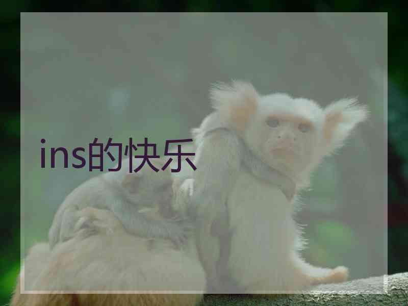 ins的快乐