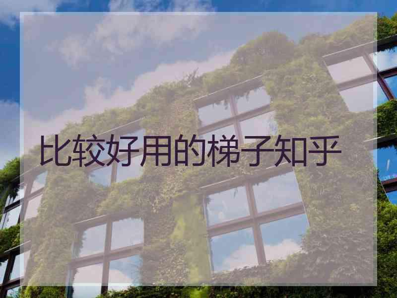 比较好用的梯子知乎