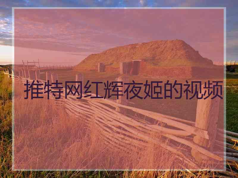 推特网红辉夜姬的视频