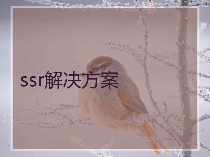 ssr解决方案