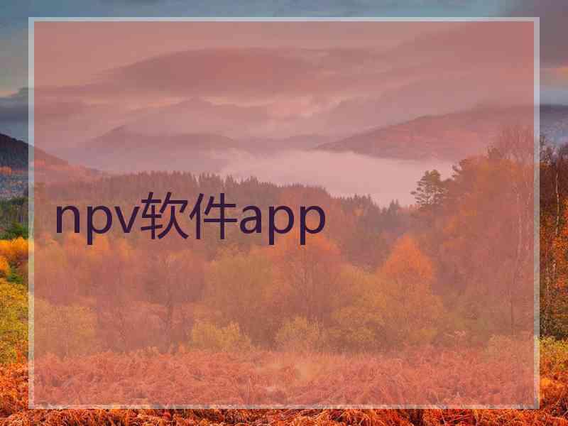 npv软件app
