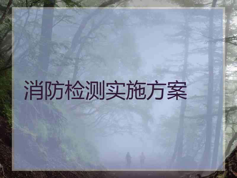 消防检测实施方案