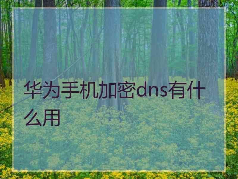 华为手机加密dns有什么用