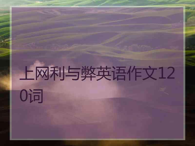 上网利与弊英语作文120词