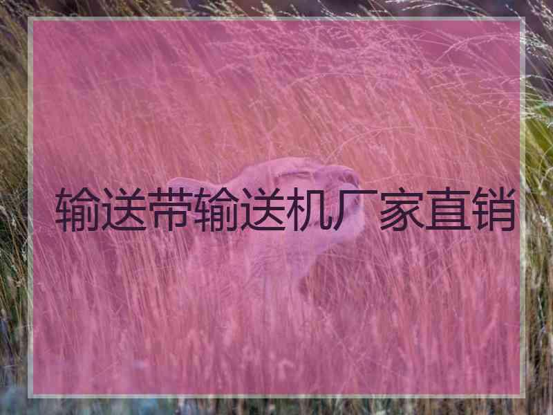 输送带输送机厂家直销