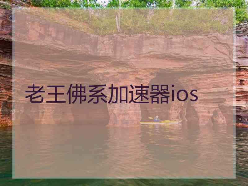 老王佛系加速器ios