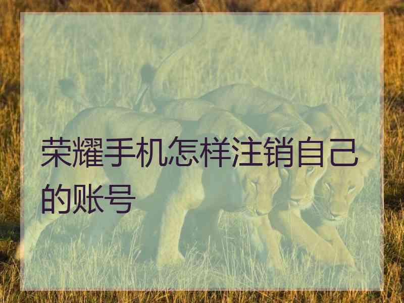 荣耀手机怎样注销自己的账号