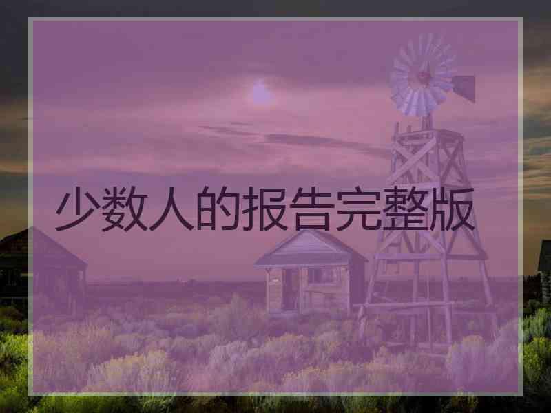 少数人的报告完整版