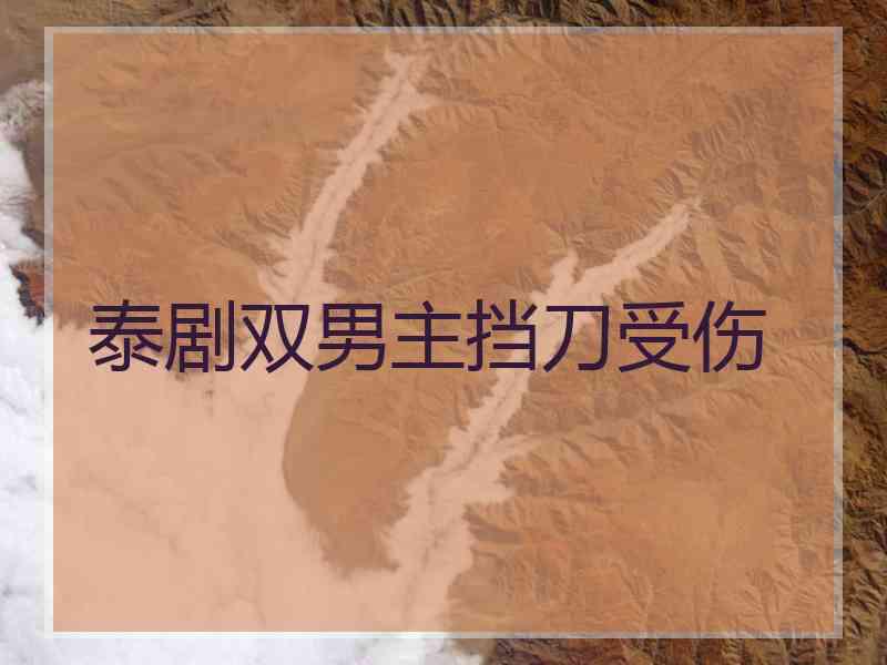 泰剧双男主挡刀受伤