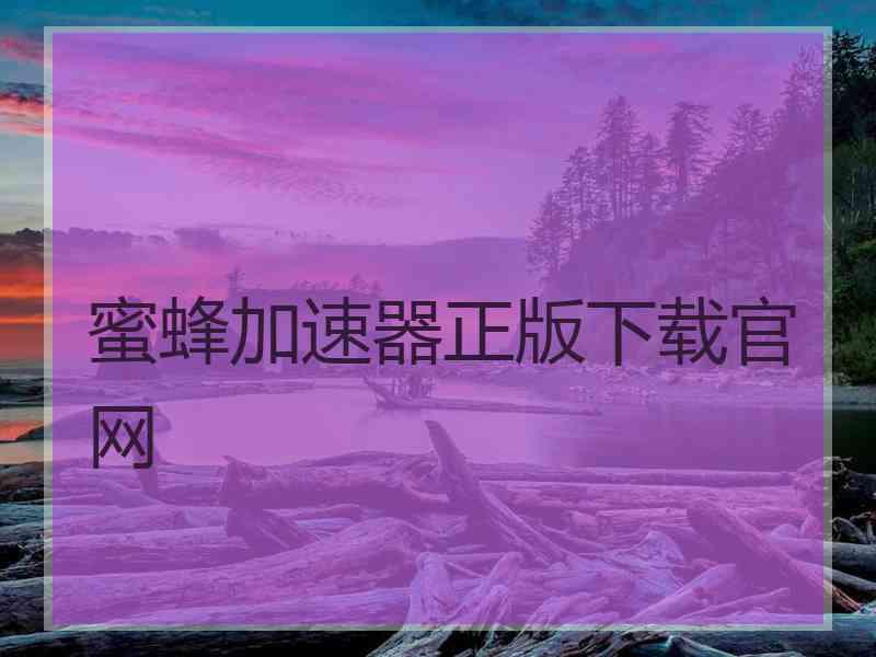 蜜蜂加速器正版下载官网