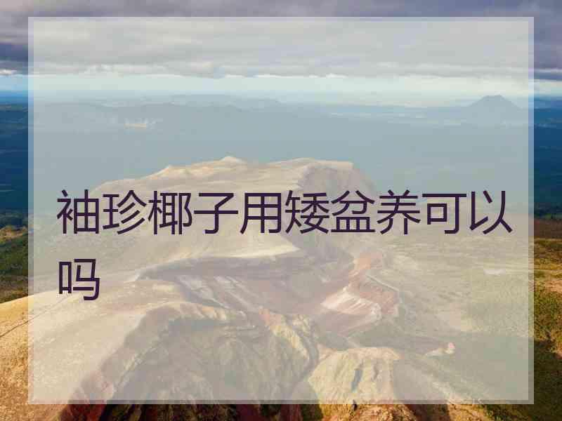 袖珍椰子用矮盆养可以吗