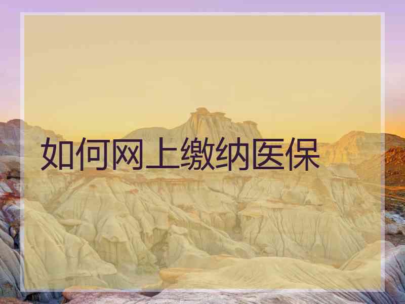 如何网上缴纳医保