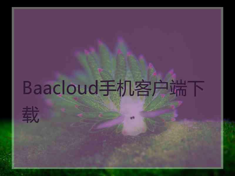 Baacloud手机客户端下载