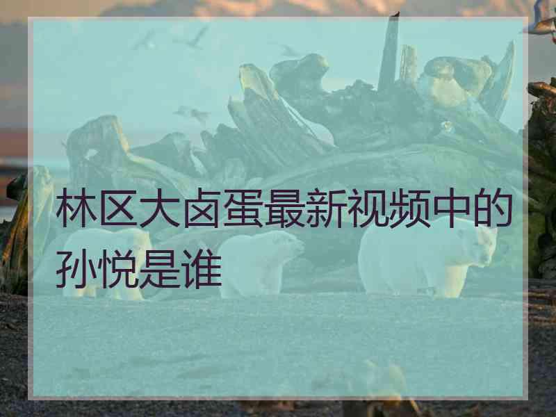 林区大卤蛋最新视频中的孙悦是谁