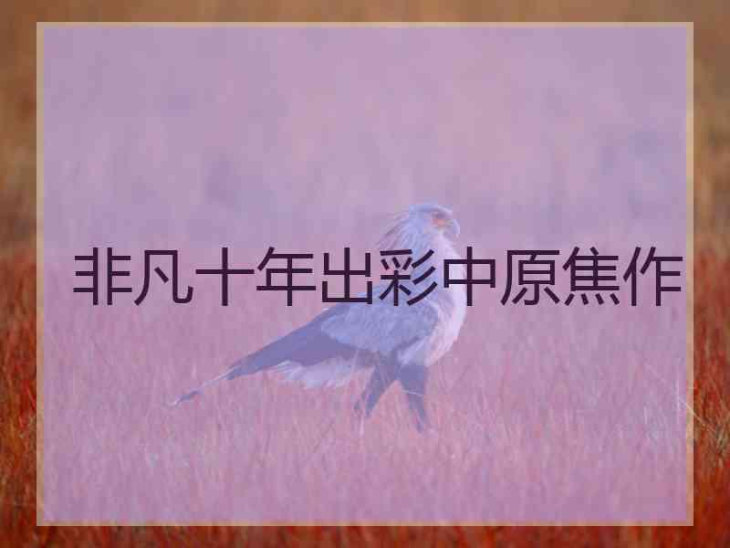 非凡十年出彩中原焦作
