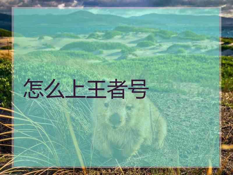 怎么上王者号