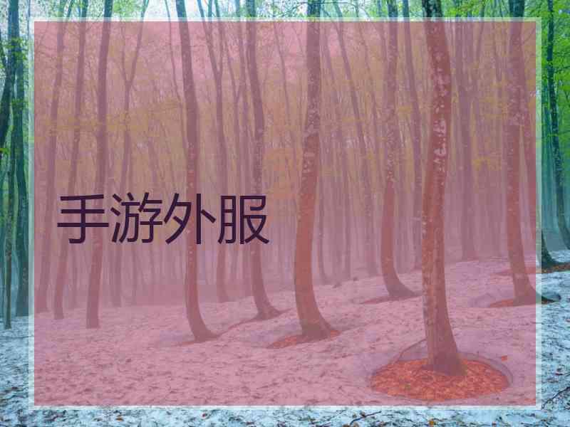 手游外服