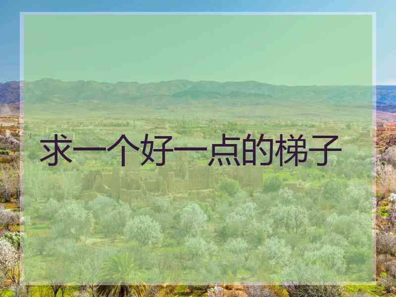 求一个好一点的梯子