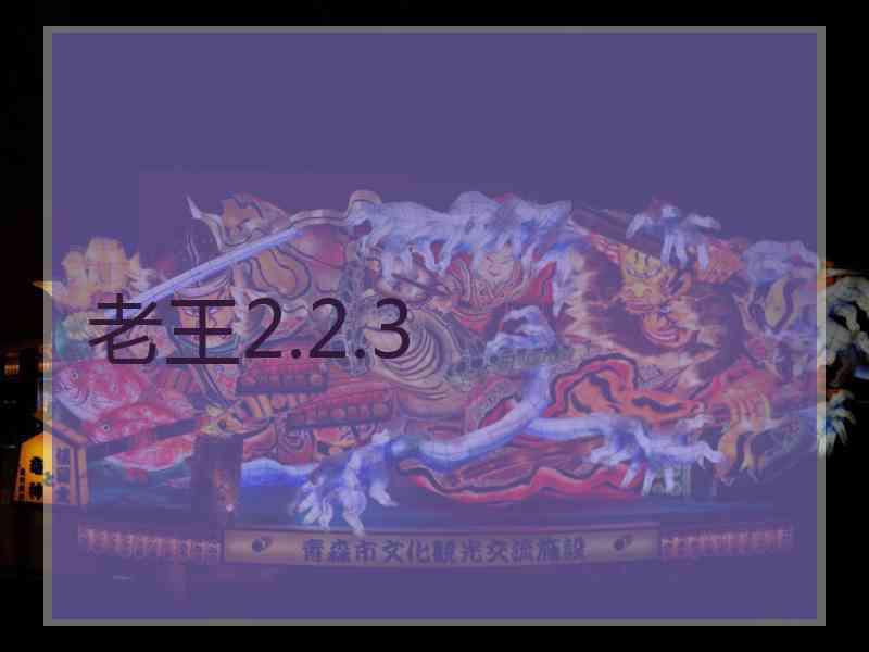 老王2.2.3