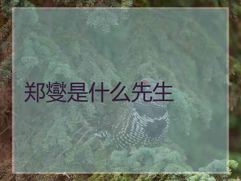 郑燮是什么先生