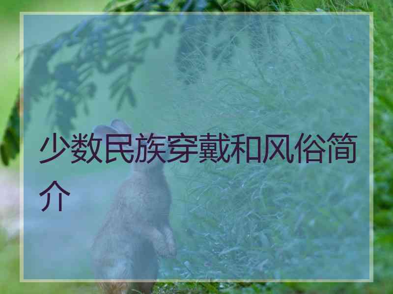 少数民族穿戴和风俗简介