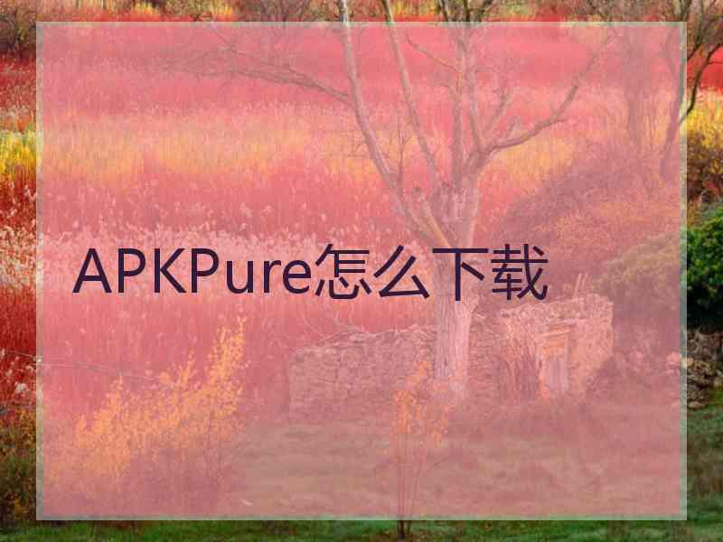 APKPure怎么下载
