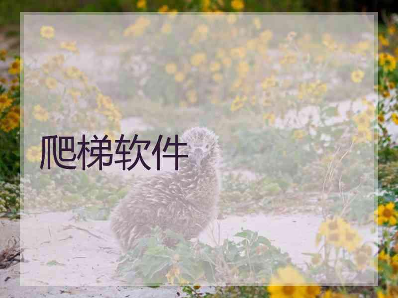 爬梯软件