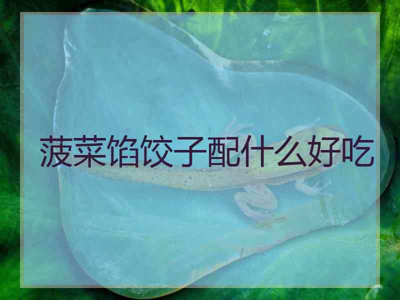菠菜馅饺子配什么好吃