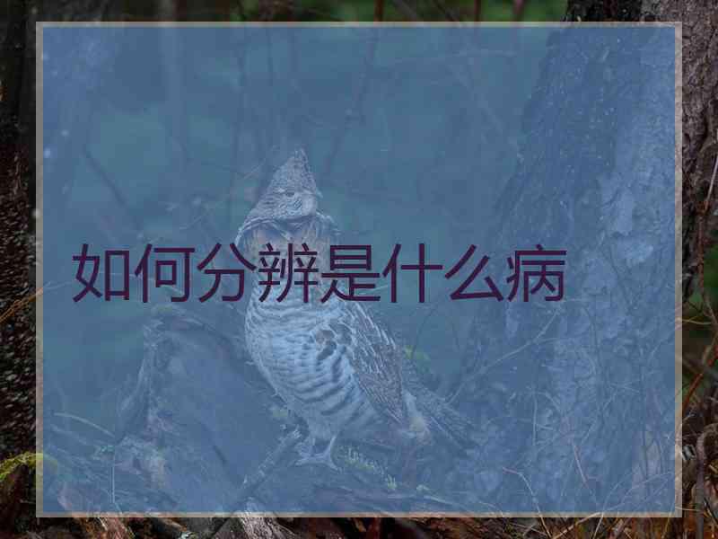 如何分辨是什么病