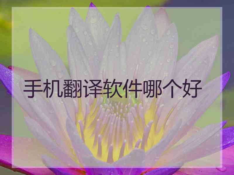 手机翻译软件哪个好