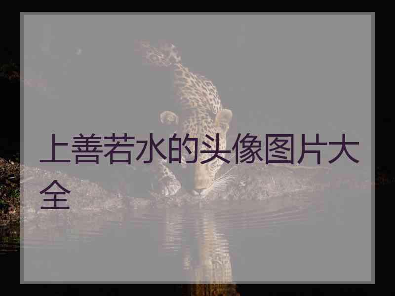 上善若水的头像图片大全