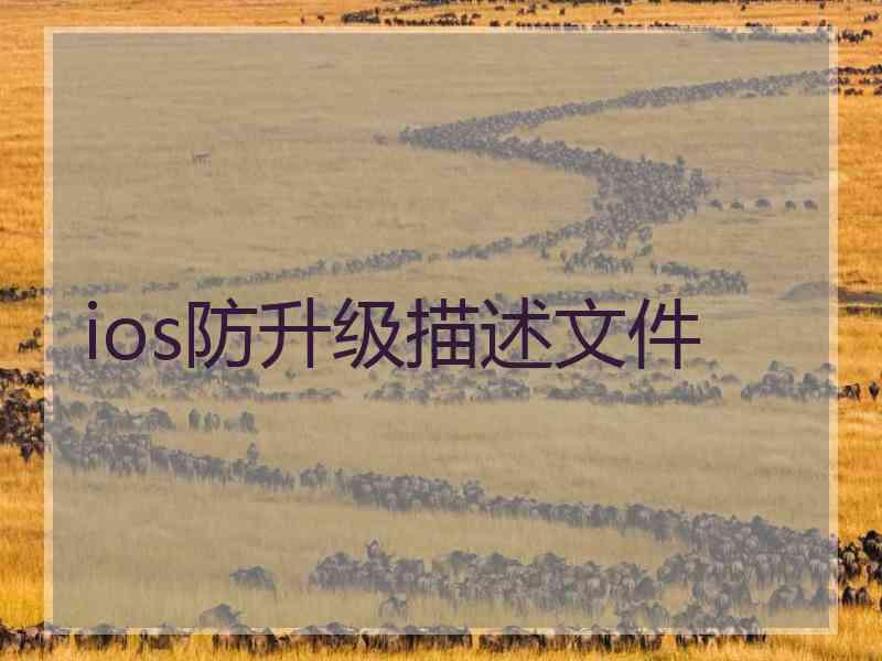 ios防升级描述文件