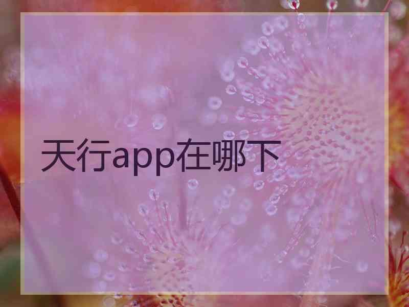天行app在哪下