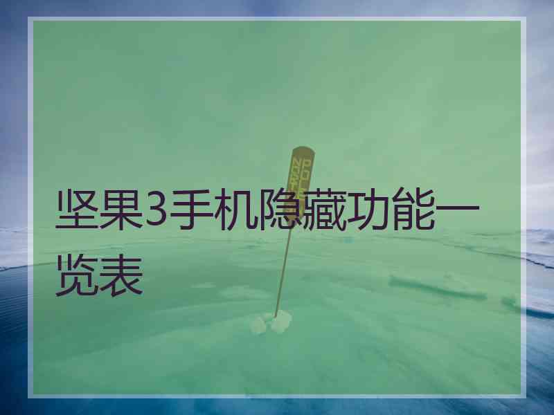 坚果3手机隐藏功能一览表