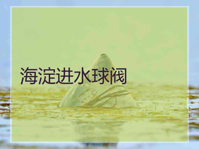 海淀进水球阀