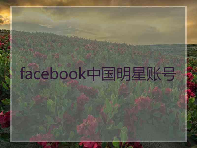 facebook中国明星账号