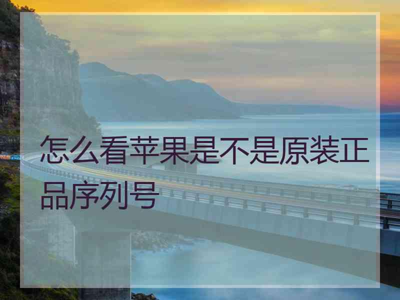 怎么看苹果是不是原装正品序列号