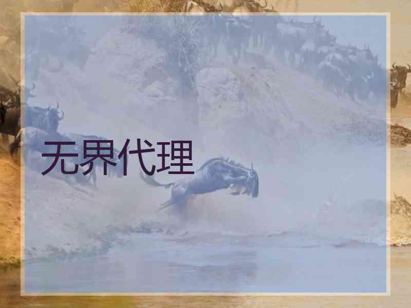 无界代理