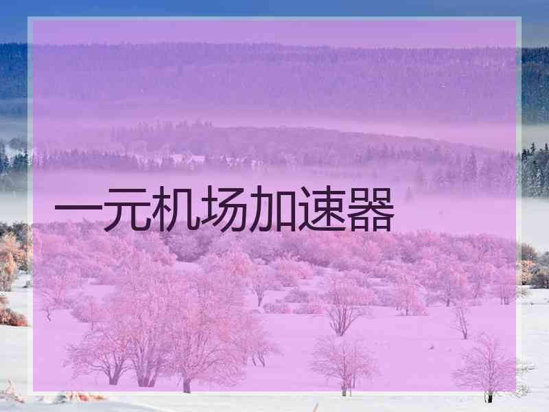 一元机场加速器